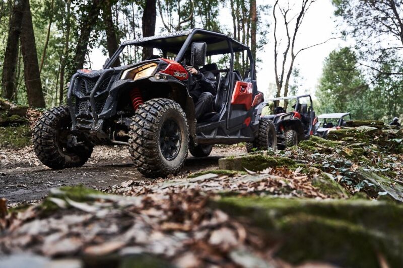 Porto: Dirt and Dust Tour by Oporto Buggy - The Sum Up