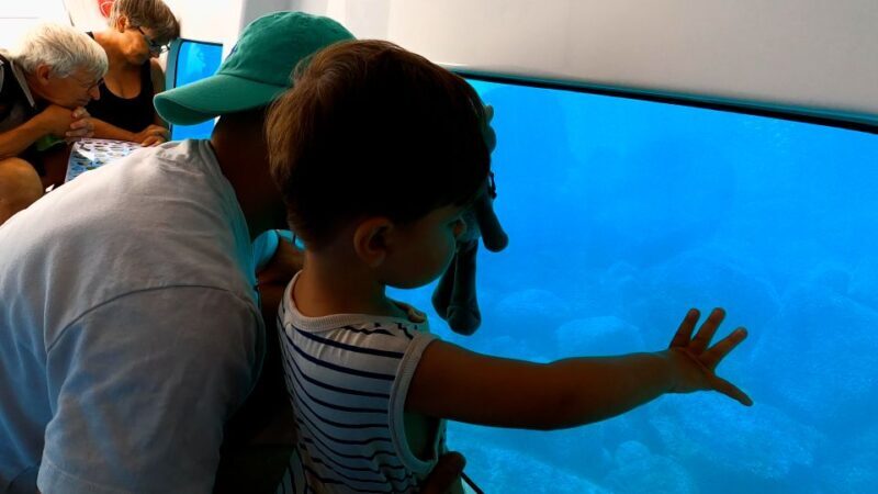 Porto : Discovery of the marine fauna and flora/Bay of Porto - Porto: Discovery of Marine Fauna and Flora / Bay of Porto