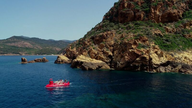 Porto : Discovery of the marine fauna and flora/Bay of Porto - Why This Tour is a Great Choice for Travelers