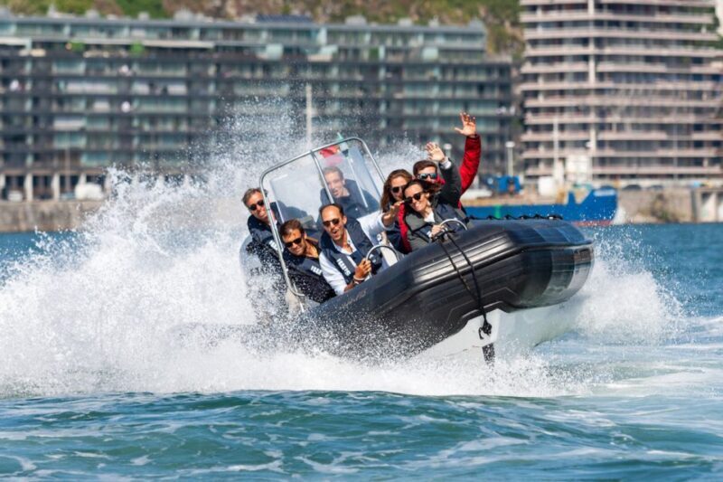 Porto: Douro River Speedboat Tour - Key Points