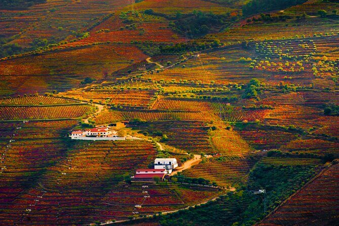 Porto: douro valey, 2 Wine regions, Sommelier, boat trip & lunch - Final Thoughts