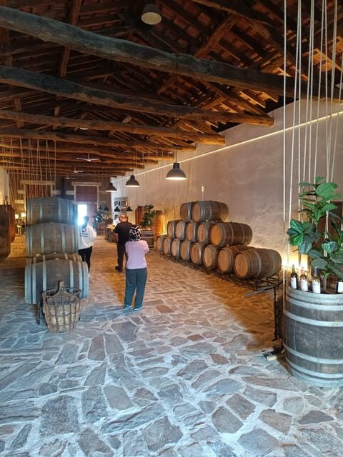 Porto: Douro valley 2 farms with wine tasting and lunch - Who Should Consider This Tour?