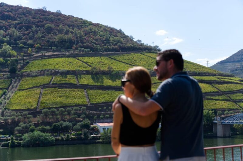 Porto: Douro Valley & Amarante Wine, Food & River Tour - The Experience in Detail