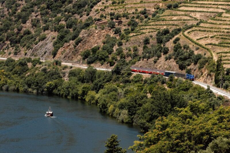 Porto: Douro Valley Full-Day Boat, Train, and Lunch Tour - A Deep Dive into the Douro Experience Tour
