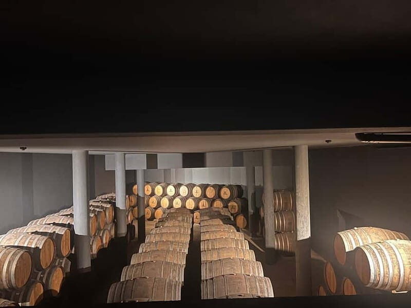Porto: Douro Valley Half-Day Wine and Food Tour - The Itinerary in Detail