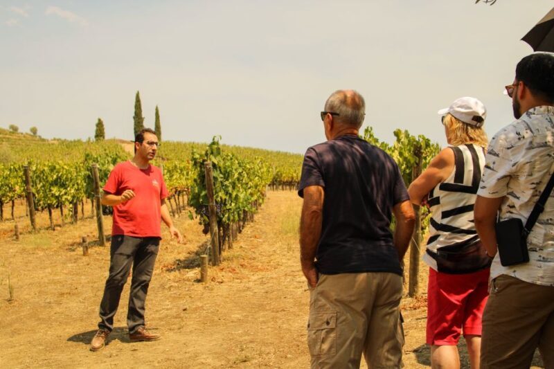 Porto: Douro Valley History & Wine Tour with Cruise & Lunch - A Deep Dive into the Douro Valley Experience