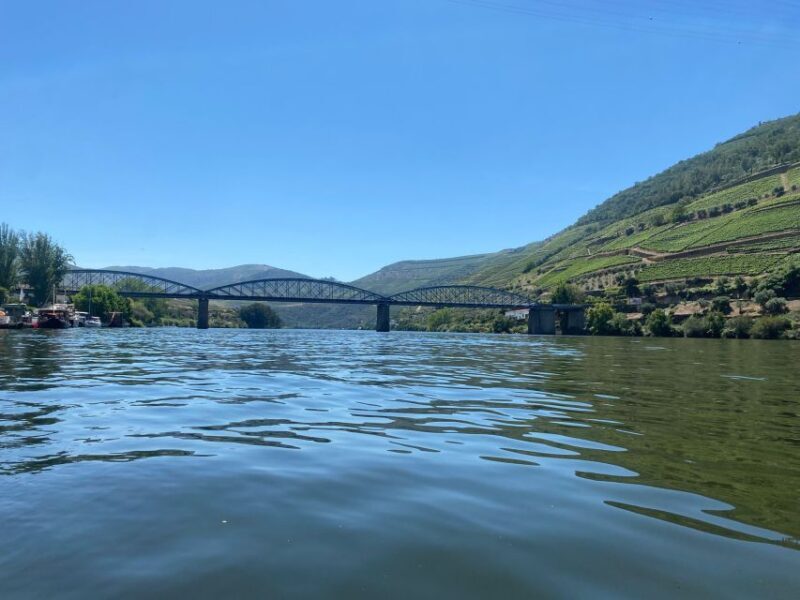 Porto: Douro Valley Private Tour 2 Vineyards & River Cruise - A Deep Dive into the Douro Experience