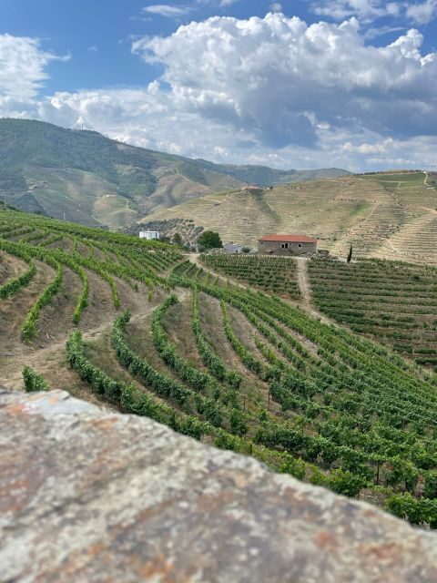 Porto: Douro Valley Private Tour 2 Vineyards & River Cruise - A Complete Itinerary Breakdown