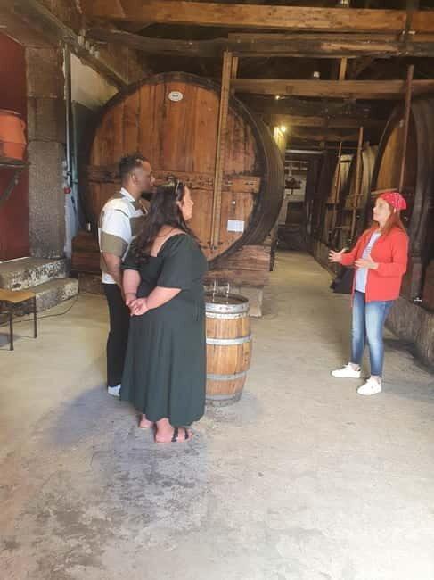 Porto: Douro Valley Private Tour with Winery Visit & Lunch - A Detailed Look at the Douro Valley Private Tour