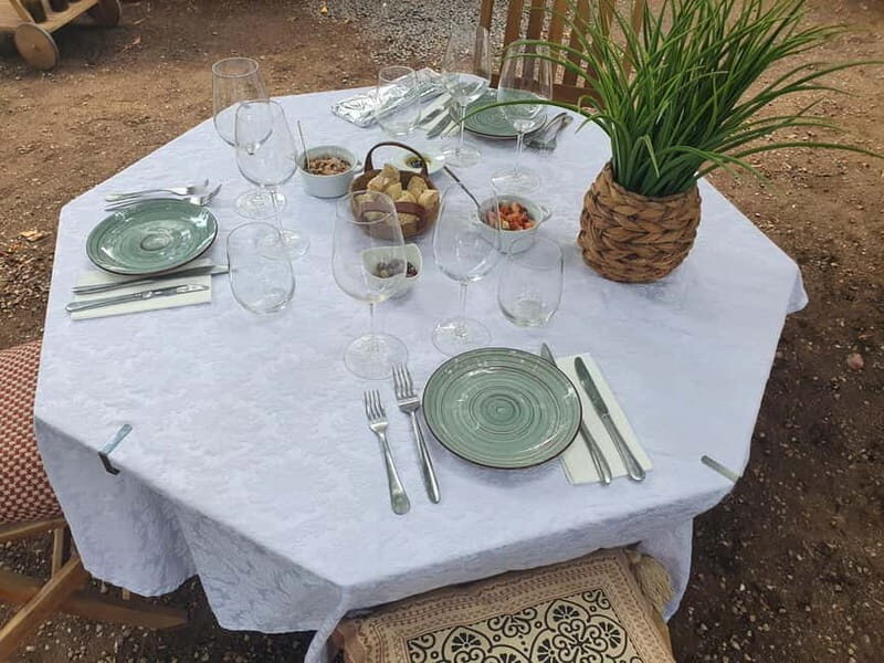 Porto: Douro Valley Private Tour with Winery Visit & Lunch - Traditional Lunch and Tasting