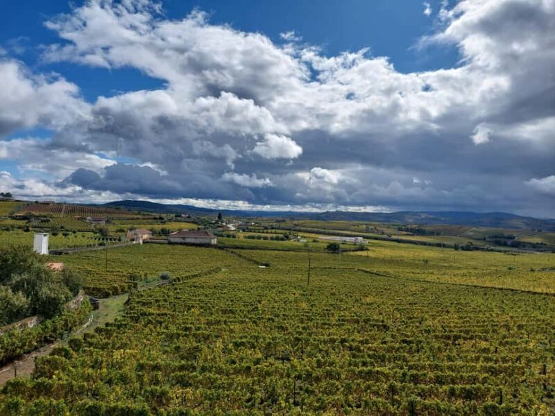 Porto: Douro Valley Tour by Private Car - Exploring the Douro Valley with a Private Car
