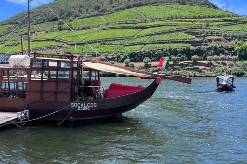 Porto: Douro Valley Tour w/ 3 Tastings, Lunch, & Opt. Cruise - A Detailed Look at What to Expect