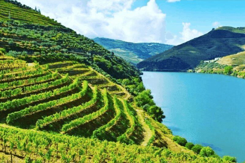 Porto: Douro Valley Tour w/ 3 Tastings, Lunch, & Opt. Cruise - Authenticity and Expertise: Why It Works