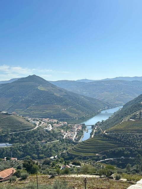 Porto: Douro Valley Tour w/ 3 Tastings, Lunch, & Opt. Cruise - Final Thoughts
