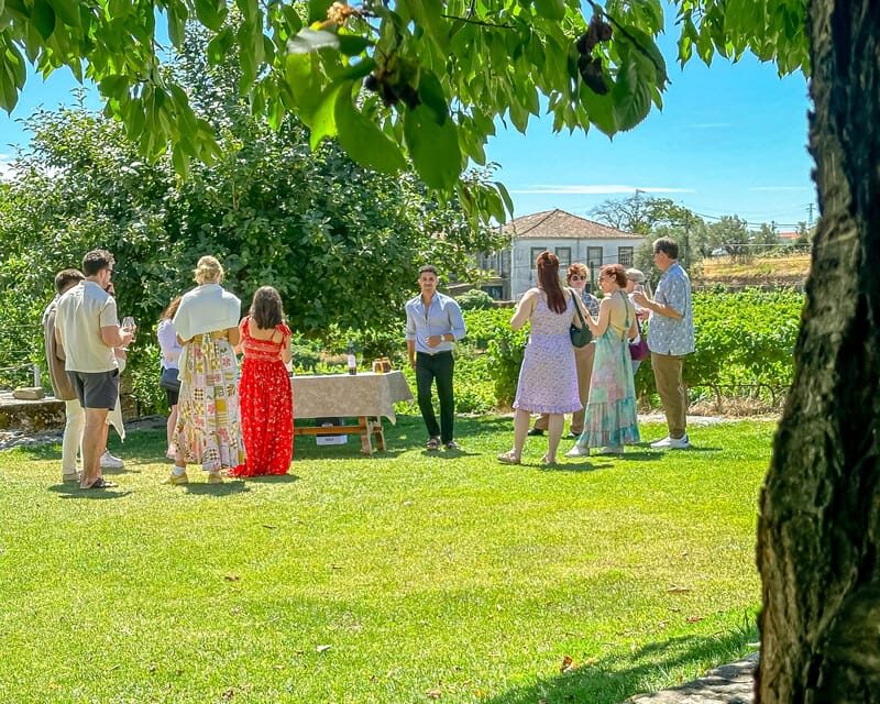 Porto: Douro Valley Tour with 2 Wineries, Lunch and Cruise - What the Reviews Say