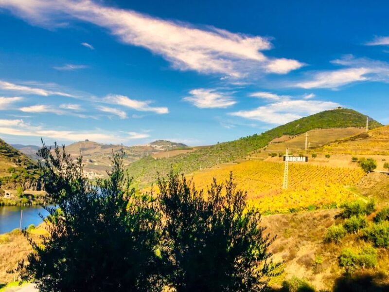 Porto: Douro Valley Tour with 2 Wineries, Lunch and Cruise - Practical Details