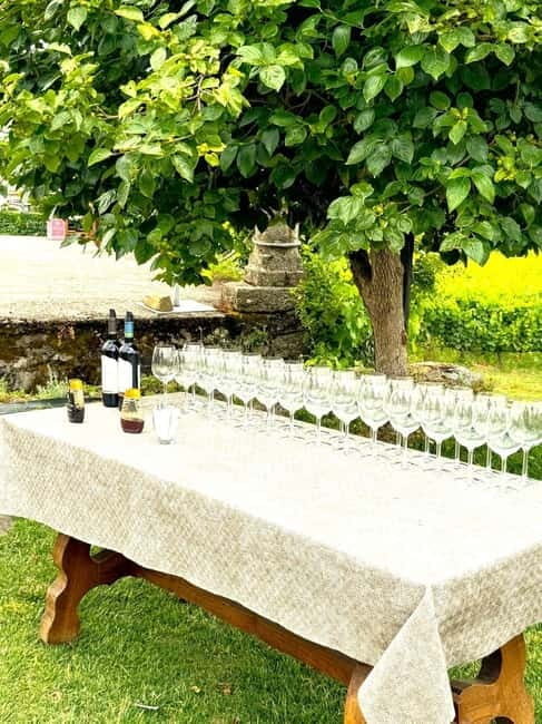 Porto: Douro Valley Tour with 3 Wineries and Lunch - An In-Depth Look at the Douro Valley Tour