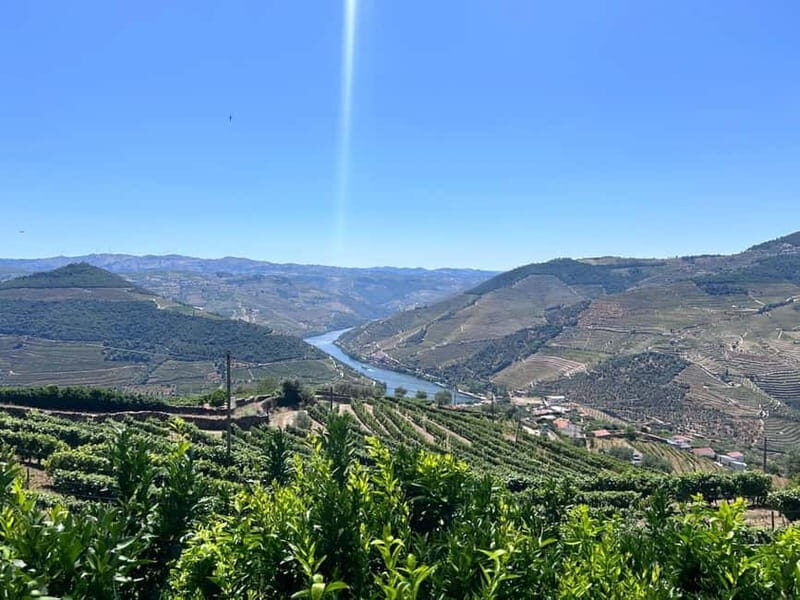 Porto: Douro Valley Tour with 3 Wineries and Lunch - Who Would Love This?