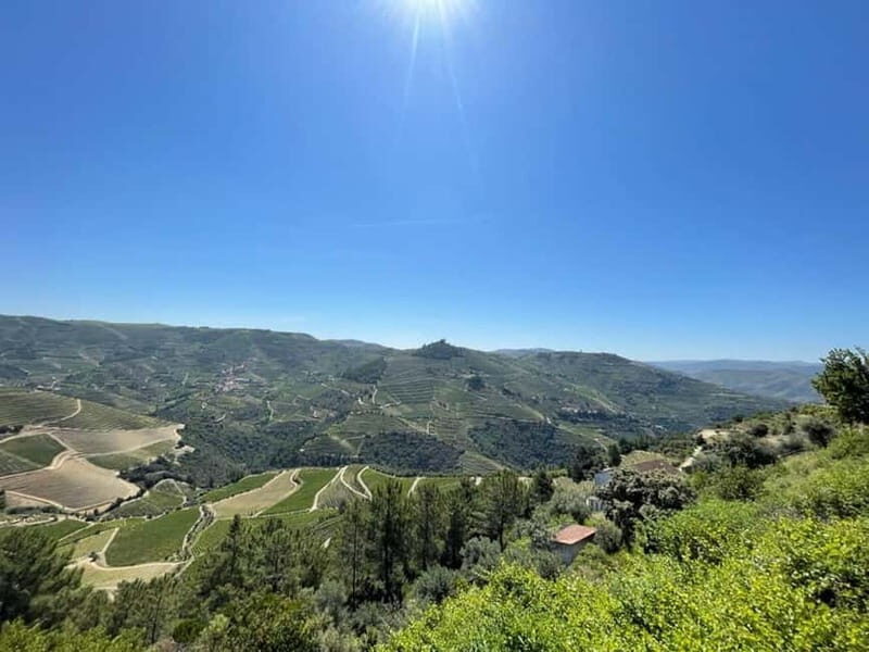 Porto: Douro Valley Tour with 3 Wineries and Lunch - FAQ