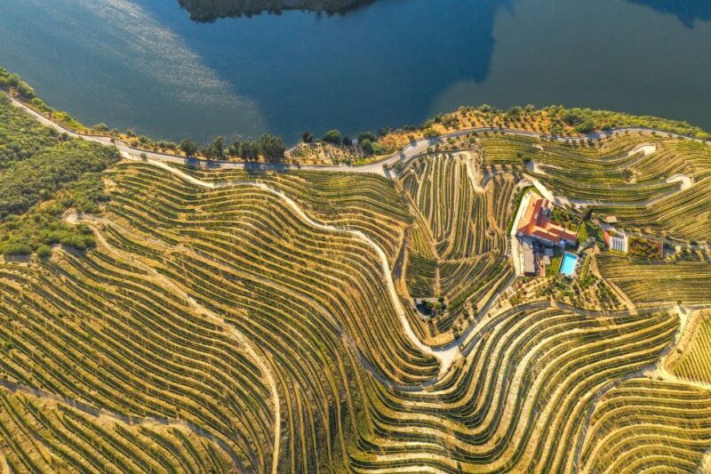 Porto: Douro Valley Tour with Lunch, Boat Cruise & Tastings - Final Thoughts