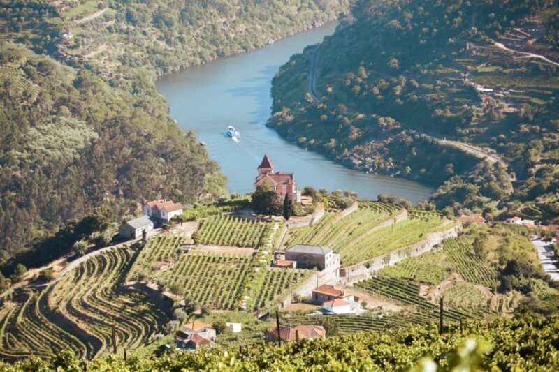 Porto: Douro Valley Tour with Wine Tasting, Cruise and Lunch - Who Will Love This Tour?