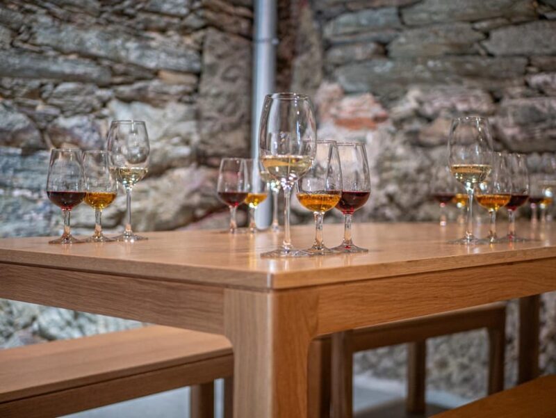 Porto: Douro Valley Wine & History Tour with Cruise & Lunch - An Overview of the Experience