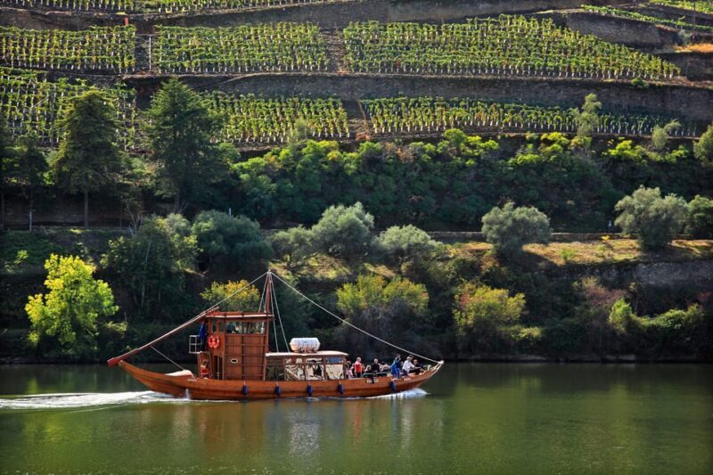 Porto: Douro Valley Wine & History Tour with Cruise & Lunch - Who Would Love This Tour?