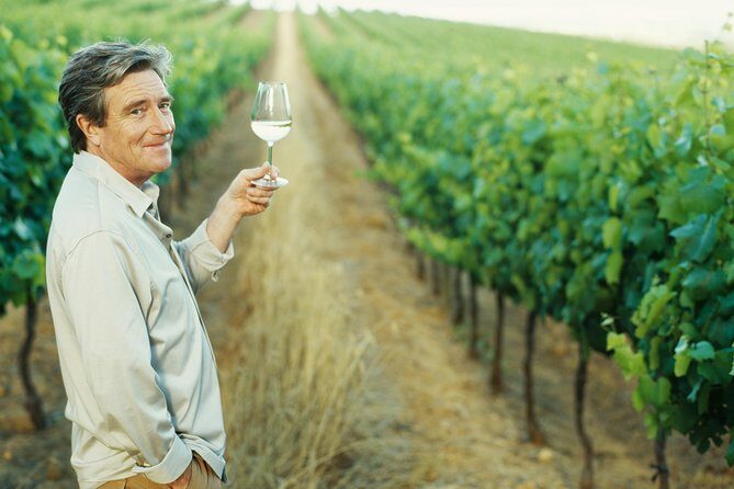 Porto: Douro Valley Wine Tour Including Lunch - The Logistics: What to Expect