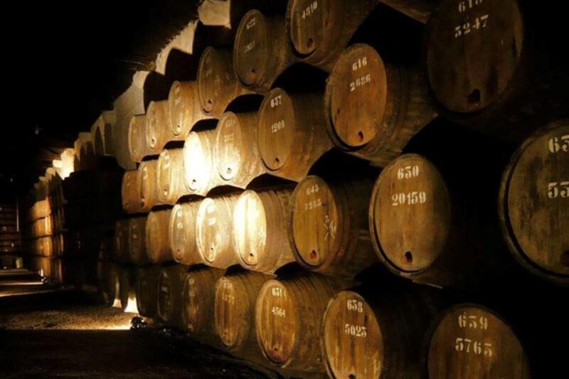 Porto: Douro Valley Wine Tour - An In-Depth Look at the Douro Valley Wine Tour