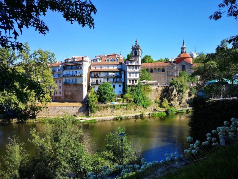Porto: Douro Valley Wine Tour with Lunch, Tastings & Cruise - Who Will Love This Tour?