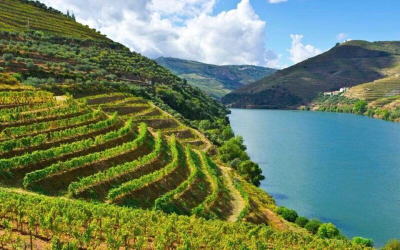 Porto: Douro Valley Wine Tour with Lunch, Tastings & Cruise - Final Thoughts