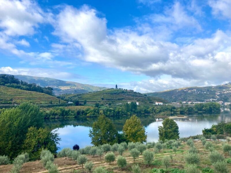 Porto: Douro Valley Wine Tour with Tastings, Boat, and Lunch - Discover the Charm of Portugal’s Douro Valley with a Small-Group Wine Tour