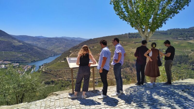 Porto: Douro Valley Wine Tour with Tastings, Boat, and Lunch - First Stop: Port Wine Cellar and Vineyard Tour