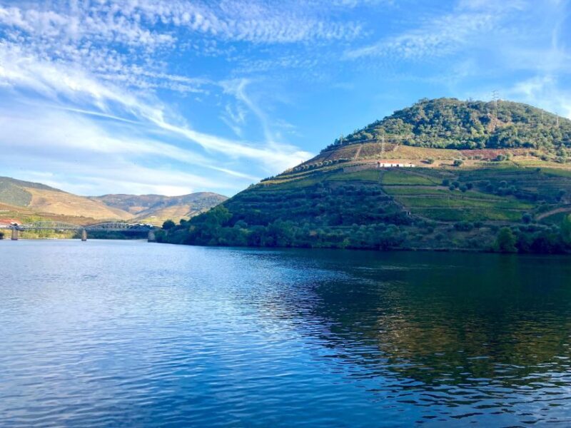 Porto: Douro Valley Wine Tour with Tastings, Boat, and Lunch - What Makes This Tour Stand Out?