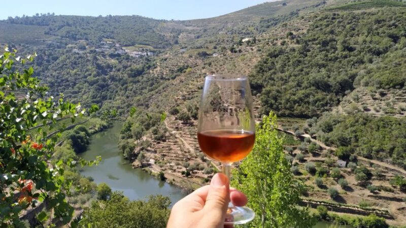 Porto: Douro Valley Wine Tour with Tastings, Boat, and Lunch - Possible Drawbacks or Considerations