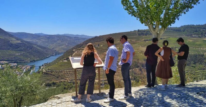 Porto: Douro Valley Wine Tour with Tastings, Boat, and Lunch - Who Will Love This Tour?