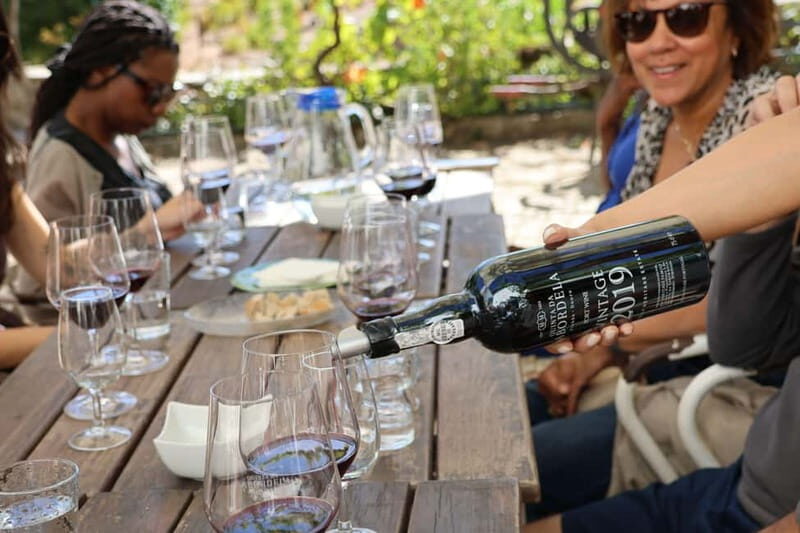 Porto: Douro Valley with 1 or 2 Wineries, Lunch & Boat Tour - Who Will Love This Tour?
