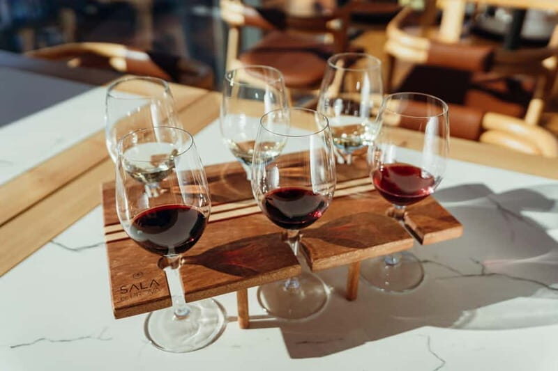 Porto: Douro Wine Tasting in the Tasting Room - The Experience and Its Value