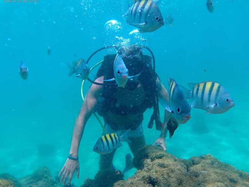 Porto Galinhas Full Day Tour - Who would benefit most from this tour?