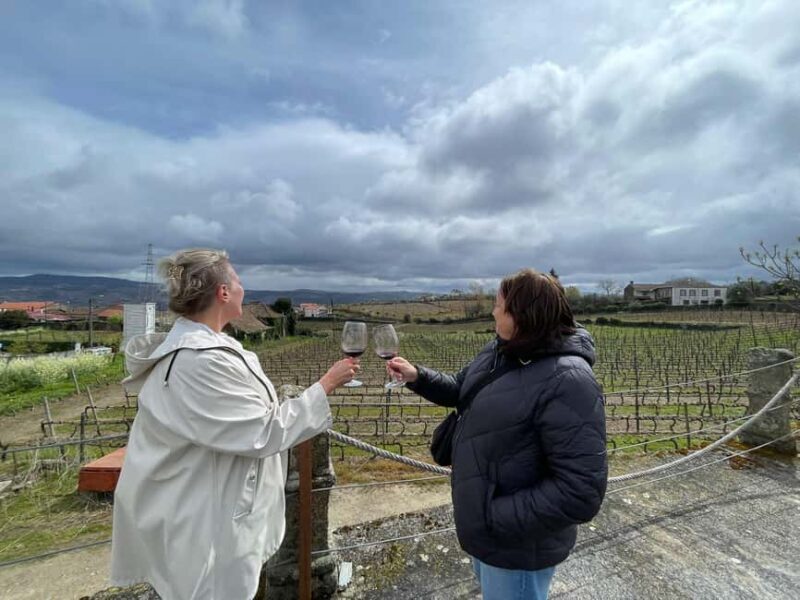 Porto: Green Wine Tasting and visit - A Closer Look at the Green Wine Tour Near Porto