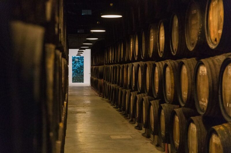 Porto: Guided Tour and Tasting of 3 Port Wines at Poças - A Detailed Look at the Tour Experience
