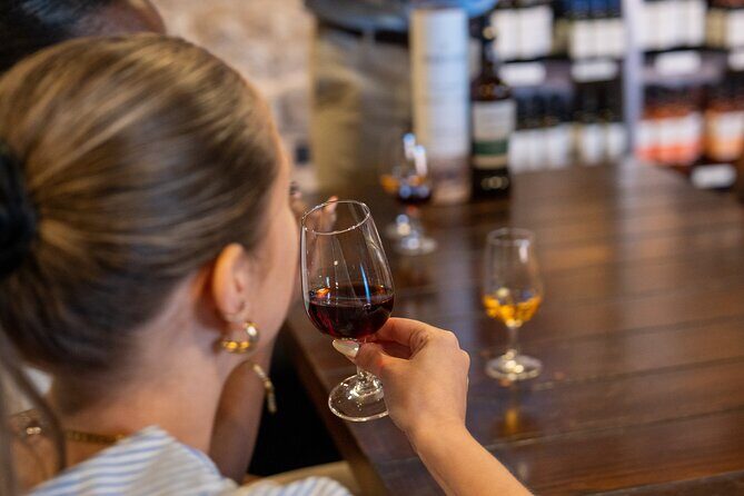 Porto Half-Day Guided Historical Tour with Port Cellar Visit and Tasting - Who Would Love This Tour?