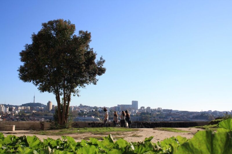 Porto: Half-Day Jewish Tour - Key Points