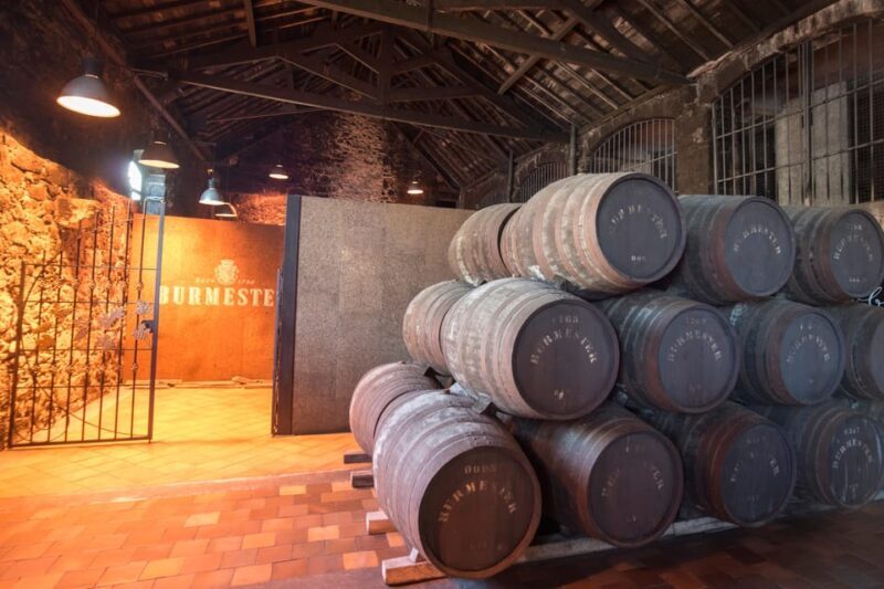 Porto: Half-Day Tour with Port Wine Cellar Visit and Tasting - Who Will Love This Tour?