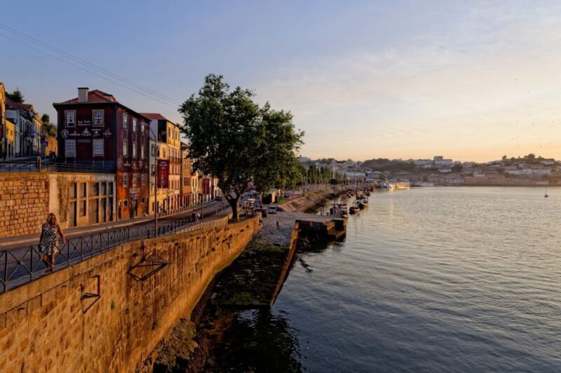 Porto Half Day Walking Tour: River Cruise & Wine Tasting - A Detailed Look at the Tour Experience