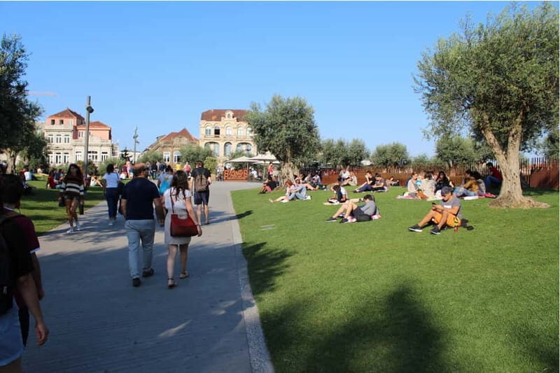 Porto Highlights (Private Walking Tour) - Who Will Love This Tour?