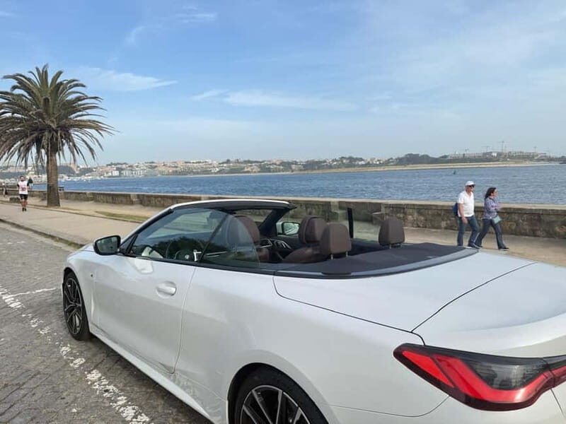 Porto Like Never Before: Private Tours with Local Touch - The Experience Begins: Pickup and Introduction