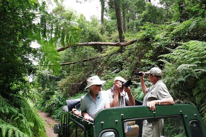 Porto Moniz - Private Full-Day - Safari 4x4 Tour - NorthWest - Authentic and Well-Reviewed
