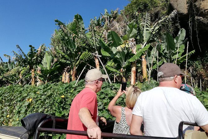 Porto Moniz - Private Full-Day - Safari 4x4 Tour - NorthWest - Final Thoughts