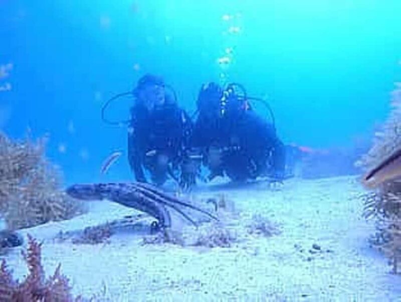 Porto: My first Scuba Dive in the Ocean - Real Experiences & Genuine Insights